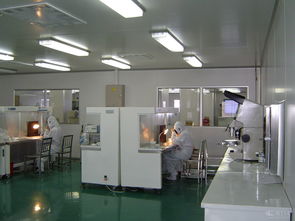 彩妝粉餅無塵車間生產(chǎn)與技術(shù)服務(wù)的重要性